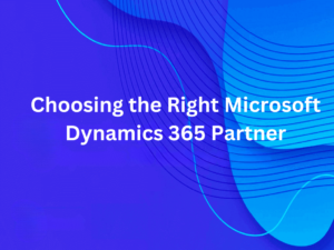 MS Dynamics Partner