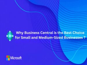 Why Business Central is the Best Choice for Small and Medium-Sized Businesses ?