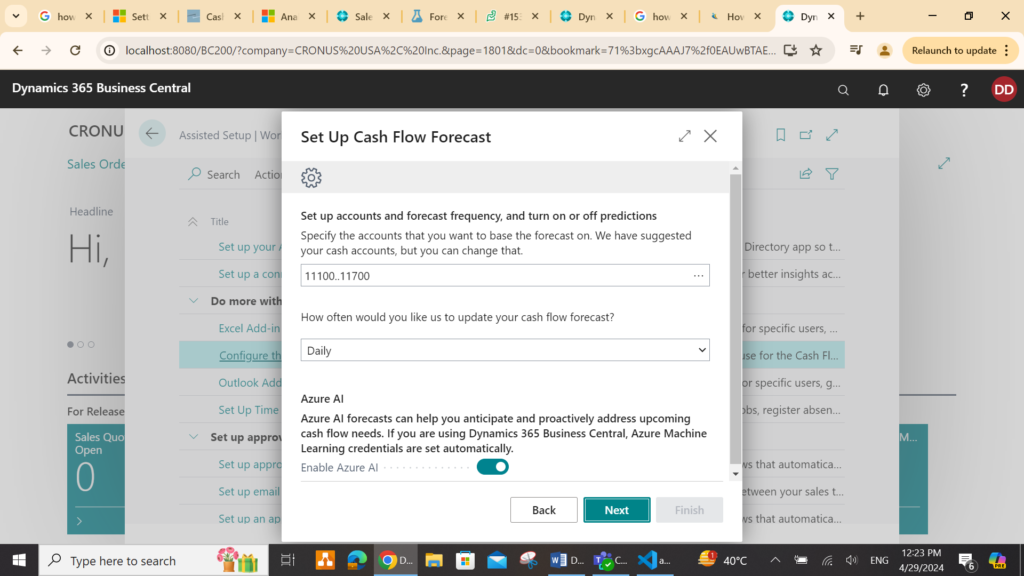 details in the Cash Flow Forecast Setup